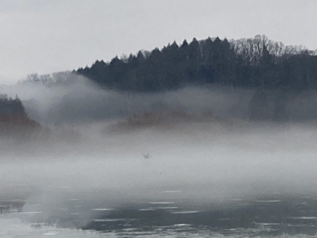 foggy picture of lake